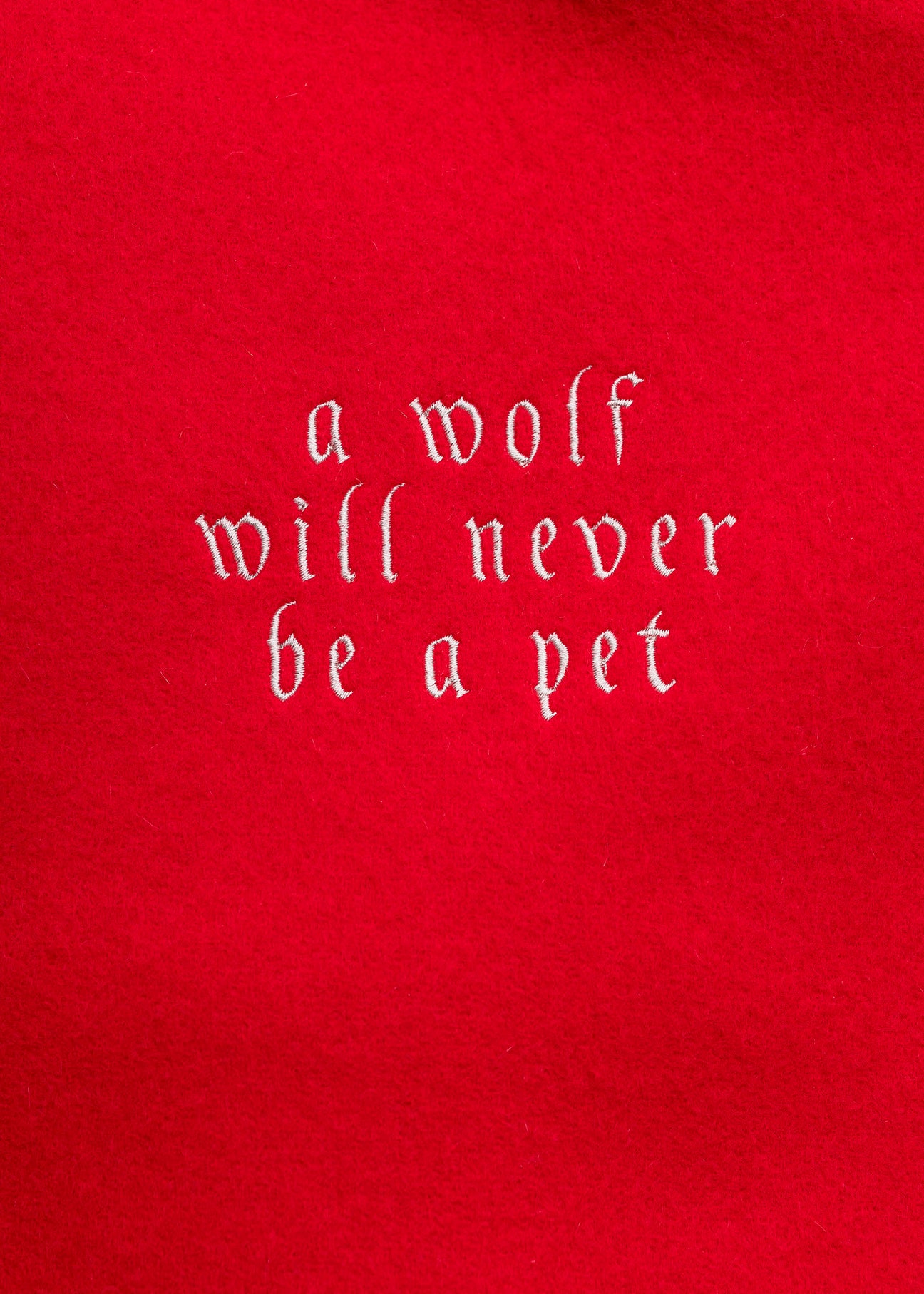 Undercover X K.Tolnoe “Wolf Pet” Chaos Balance Varsity Jacket 