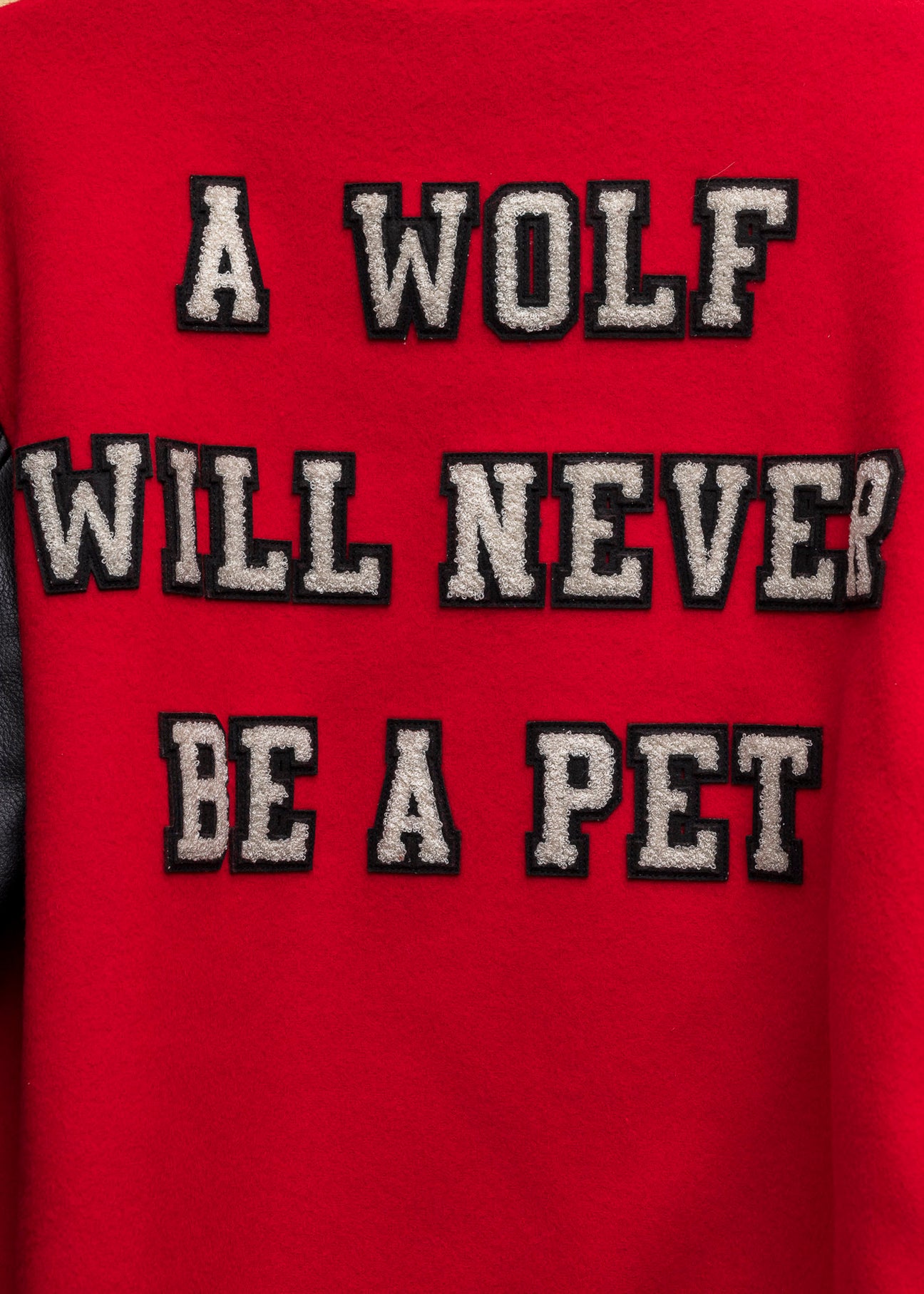 Undercover X K.Tolnoe “Wolf Pet” Chaos Balance Varsity Jacket 